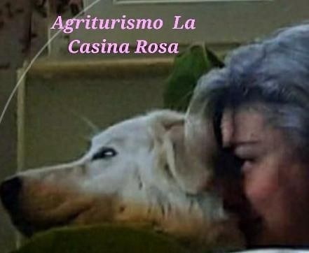 Agriturismo La Casina Rosa Camigliatello Silano Buitenkant foto